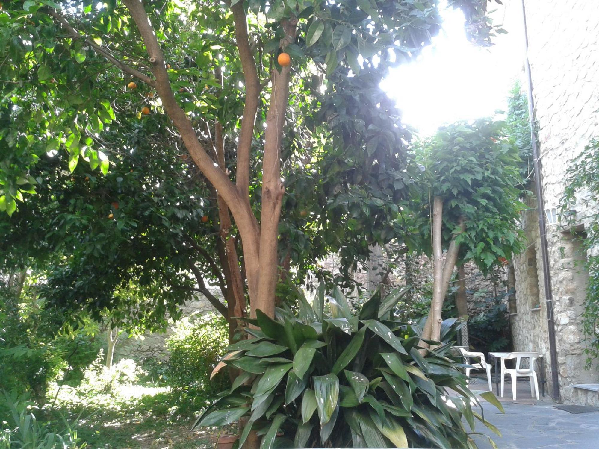 Casa Rural Corvina อาเซโบ ภายนอก รูปภาพ