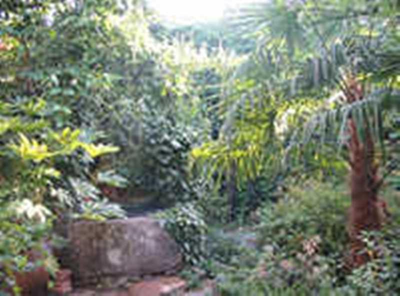 Casa Rural Corvina อาเซโบ ภายนอก รูปภาพ